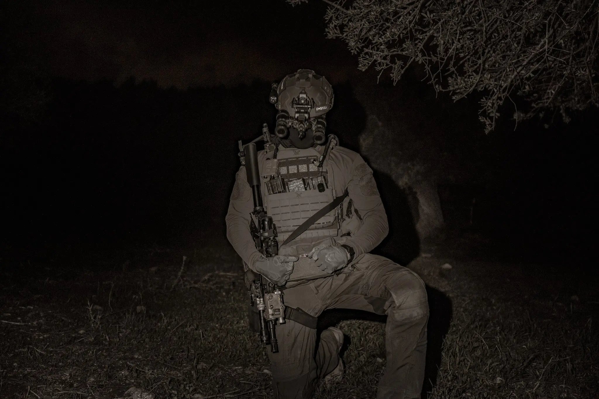 ALL PRODUCTS Night Heron