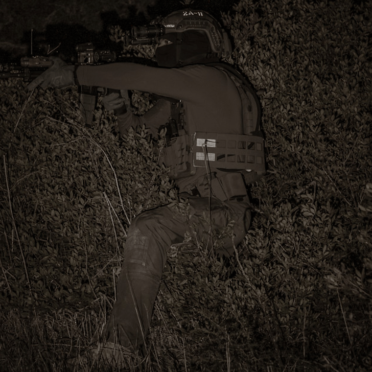 X-RAY CUMMERBUND W - Night Heron